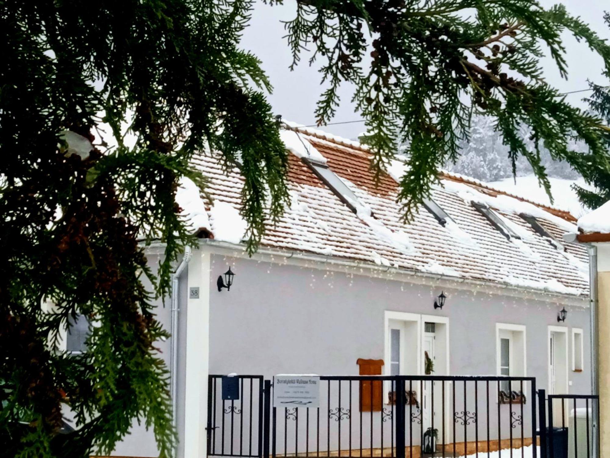 Borostyankut Wellness Home Bakonybel ภายนอก รูปภาพ